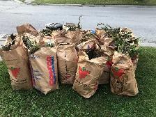 Garbage Removal - Photo 2