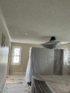 Dustless popcorn removal and painting - Photo 3