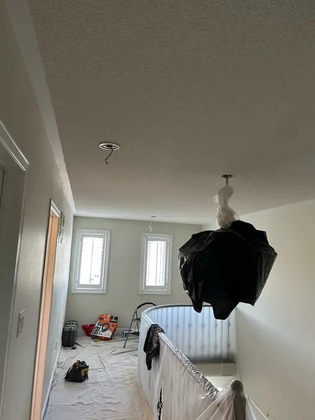 Dust and Mess less popcorn removal and house painting