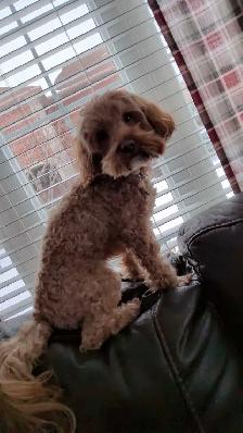 Healthcare      not hiring