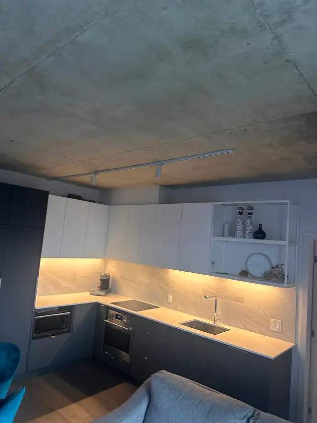 Condo 3 1/2 à louer (Esplanade Cartier - Phase 1) Montréal - Photo 6