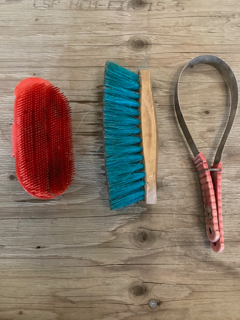Grooming Tools for Horses