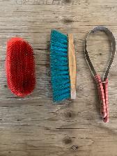 Grooming Tools for Horses