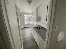 JUST RENOVATED - Bright & Spacious 2bdrm APT move in ready! - Photo 3