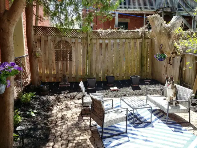 NEW EDINBURGH SEMI-DETACHED HOUSE FOR RENT May FIRST 2,200/MONTH - Photo 9