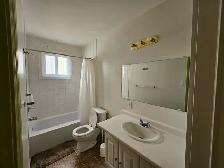 ALL INCLUSIVE ! DOWNTOWN 6 BED RENTAL - Photo 5