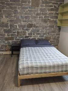 ALL INCLUSIVE ! DOWNTOWN 6 BED RENTAL - Photo 8