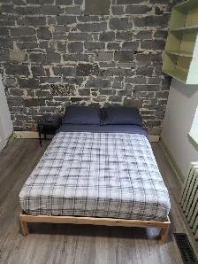 ALL INCLUSIVE ! DOWNTOWN 6 BED RENTAL - Photo 9