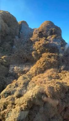 Custom Bale Grinding - Photo 3