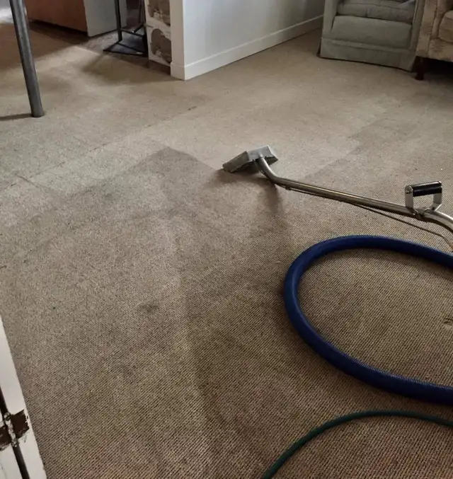 LETS GET YOUR SPRING CLEANING STARTED. - Photo 9