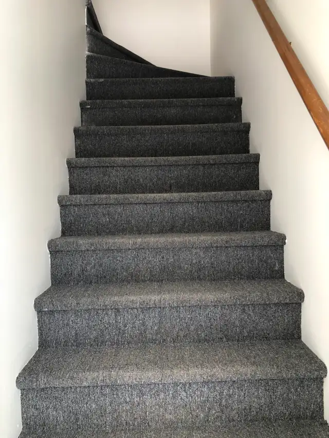 Saint-Romuald (levis) - Grand 4 1/2 à louer disponible - Photo 2