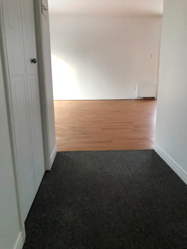 Saint-Romuald (levis) - Grand 4 1/2 à louer disponible - Photo 3