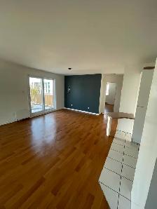 Saint-Romuald (levis) - Grand 4 1/2 à louer disponible - Photo 5