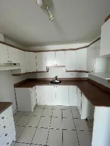 Saint-Romuald (levis) - Grand 4 1/2 à louer disponible - Photo 6