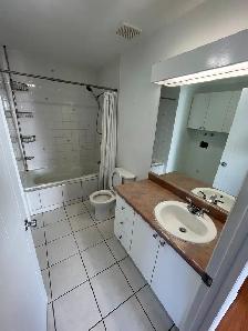 Saint-Romuald (levis) - Grand 4 1/2 à louer disponible - Photo 7