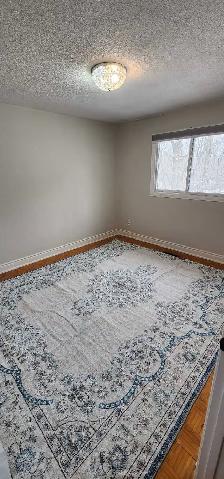 3 Bedroom Home in Millbrook/Cavan Monaghan/Peterborough - Photo 9