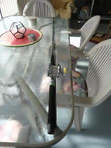 MOOCHING ROD WITH 100 YARDS OF LEAD CORE LINE