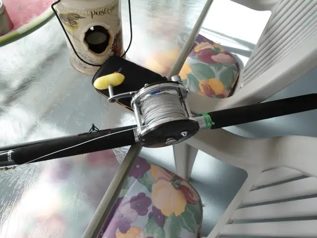 MOOCHING ROD WITH 100 YARDS OF LEAD CORE LINE - Photo 2