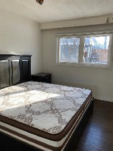 house for rent - Photo 3