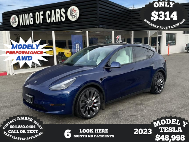 2023 TESLA MODEL Y