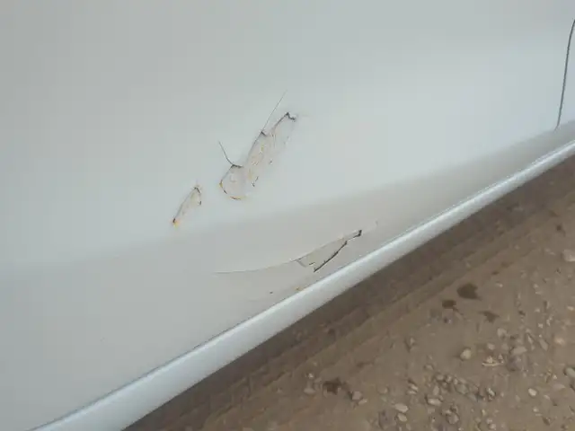 2018 Chevrolet Malibu - Photo 34