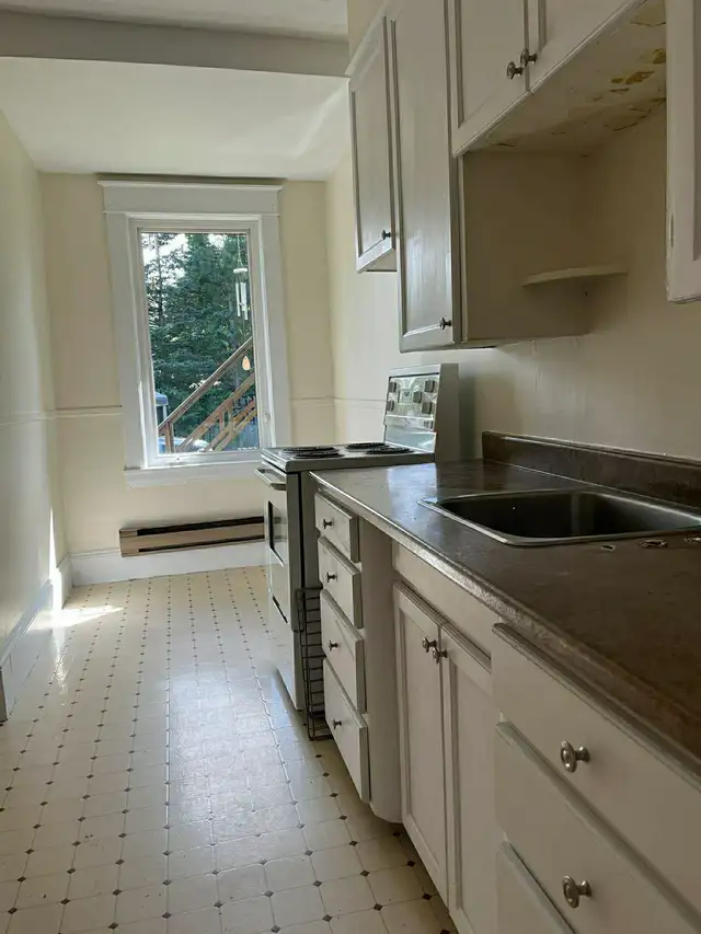 Cozy one bedroom apartment for rent