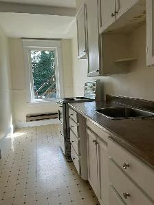 Cozy one bedroom apartment for rent