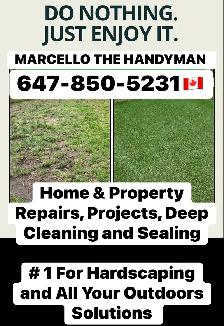 FREE MASON HANDYMAN - Flagstone Interlock Masonry Concrete SEAL - Photo 8