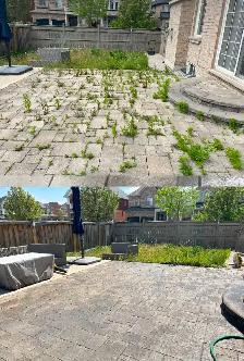 FREE MASON HANDYMAN - Flagstone Interlock Masonry Concrete SEAL - Photo 11