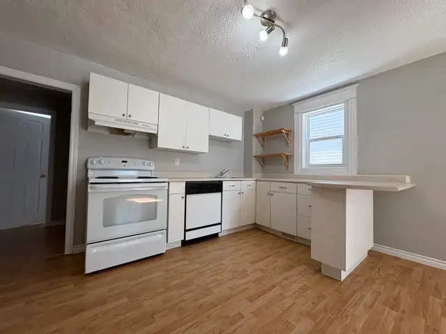 Affordable all utilities included 1bed unit Downtown Ottawa - Photo 3