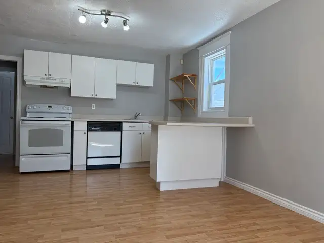 Affordable all utilities included 1bed unit Downtown Ottawa - Photo 9