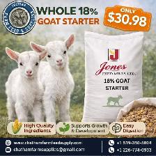 Whole 18% Goat Starter – Strong Start for Growing Goats! 25kg