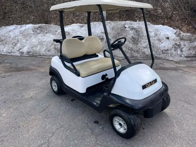 Golf Carts to NFLD - Free Delivery - Photo 2