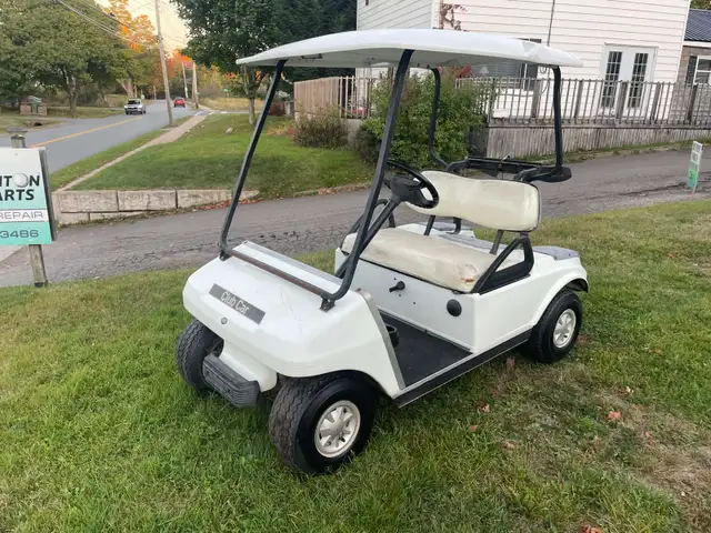 Golf Carts to NFLD - Free Delivery - Photo 3