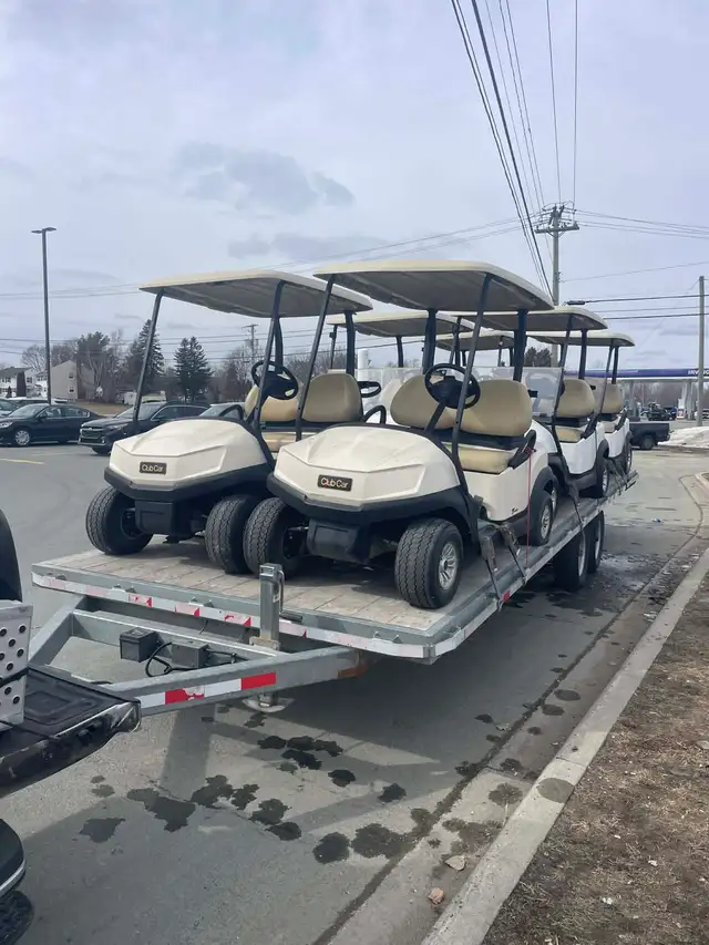 Golf Carts to NFLD - Free Delivery - Photo 4