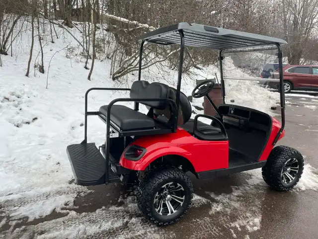 Golf Carts to NFLD - Free Delivery - Photo 8