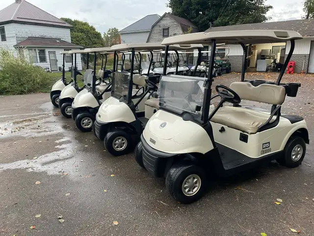 Golf Carts to NFLD - Free Delivery - Photo 9