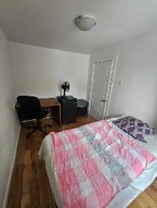 TOUT INCLUS AVEC INTERNET - ALL INCLUDED WITH WIFI - Photo 3