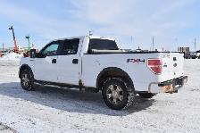 2010 Ford F-150 FX4 - Photo 2