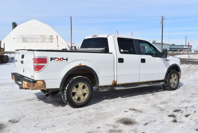 2010 Ford F-150 FX4 - Photo 3