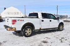 2010 Ford F-150 FX4 - Photo 3