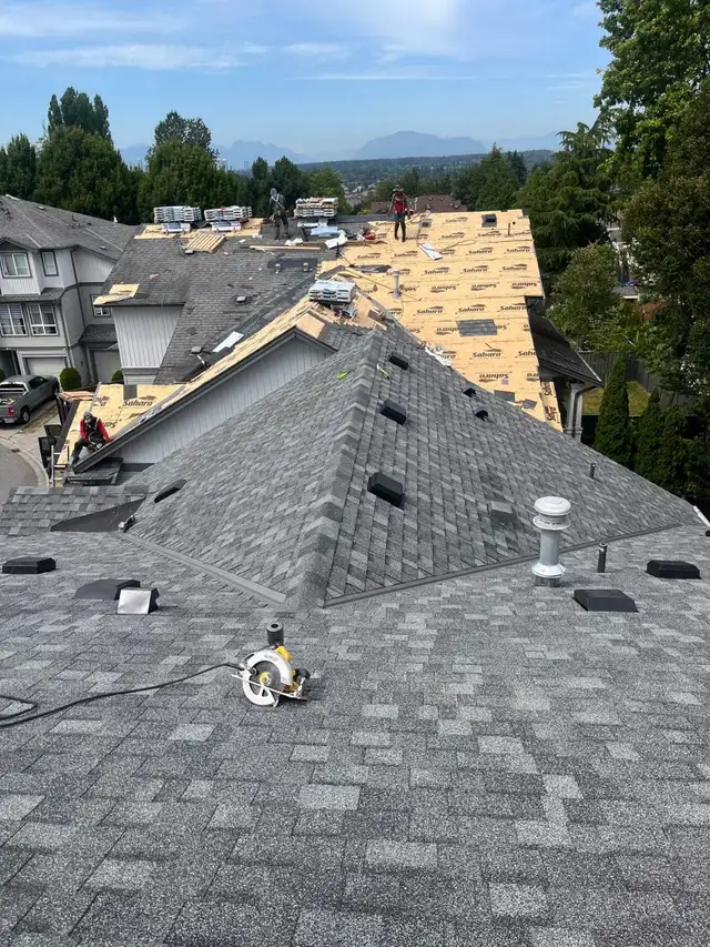 Roofing - Roof Repair - Flat Roof