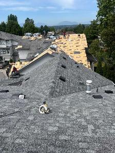 Roofing - Roof Repair - Flat Roof