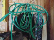 Standard Garden hose, 50' ft. green
