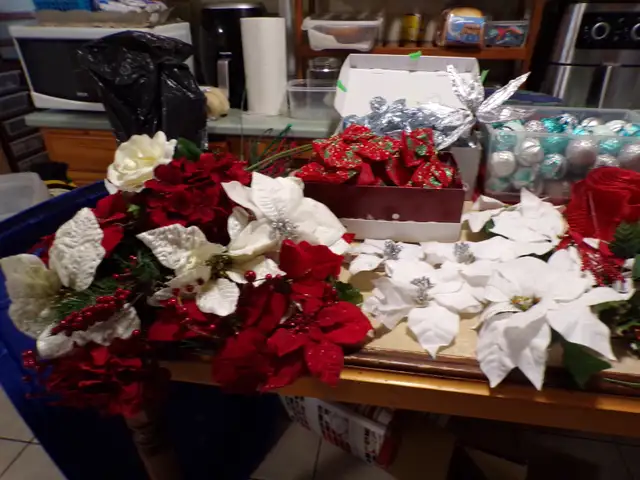 evrything christmas - Photo 10