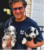 Large Breed Dog Boarding With Pick Up and Delivery - Photo 6