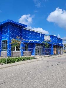 Professional Blueskin installation - Photo 9