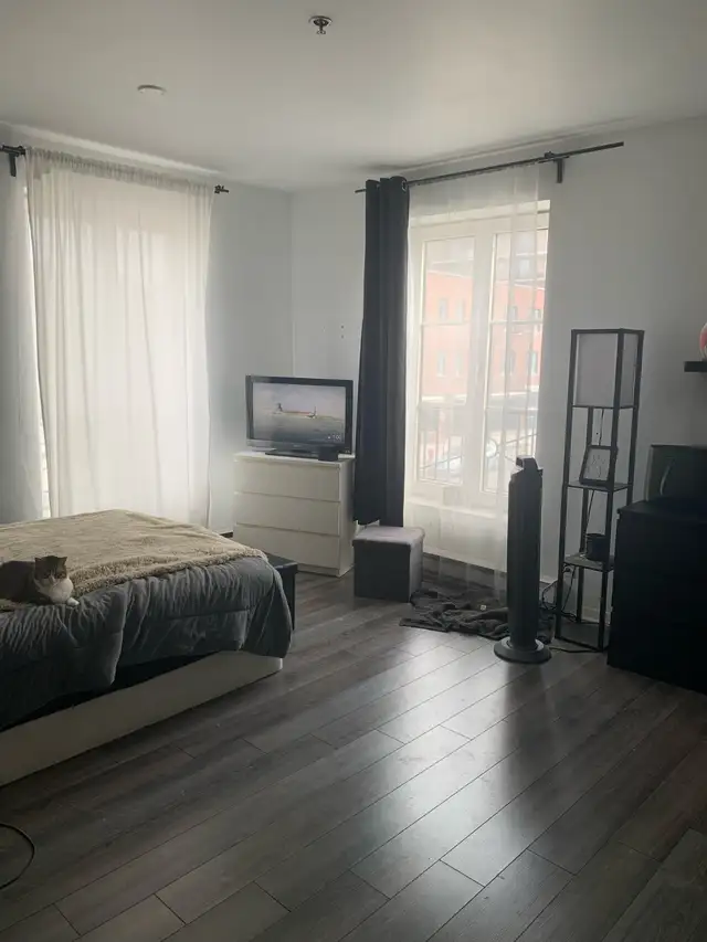 Luxury Studio for Rent – Metro Papineau - Appliances Included