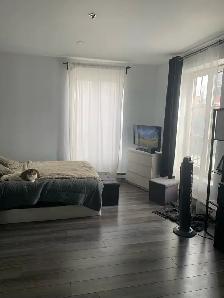 Luxury Studio for Rent – Metro Papineau - Appliances Included - Photo 2