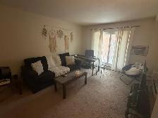 One bedroom suite in College Park